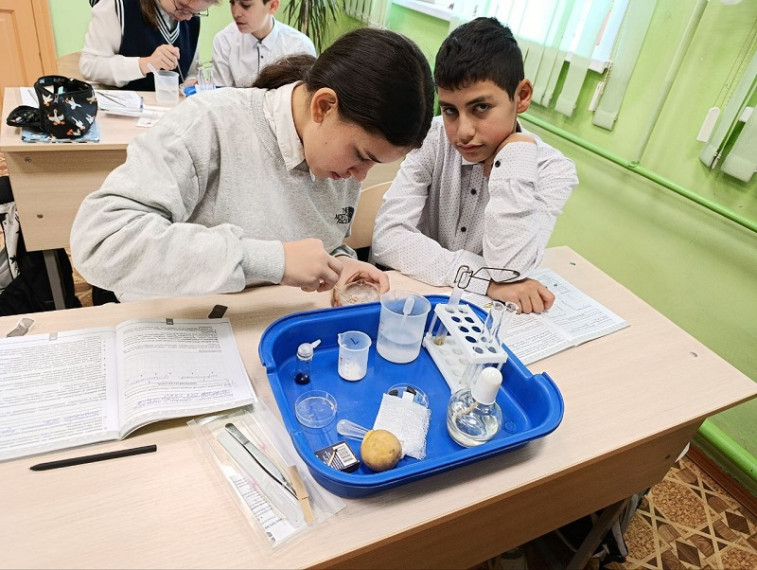 Практическая биология.